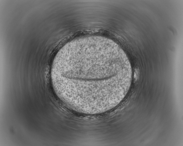 X0000113020867200909241633