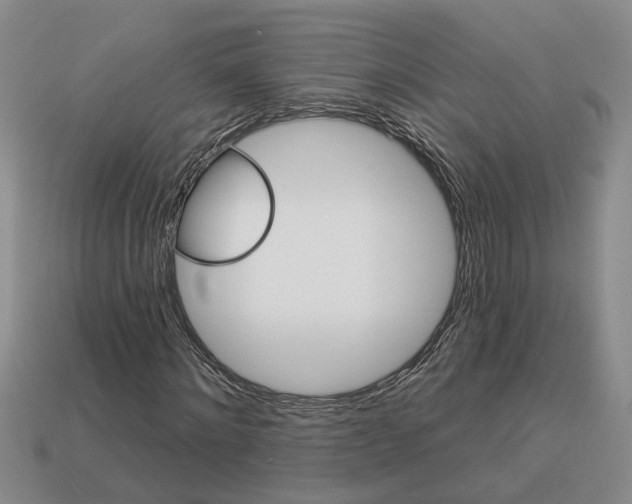 X0000113020868200909241633