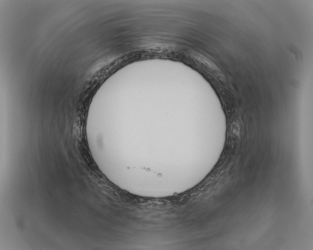 X0000113020869200909241633