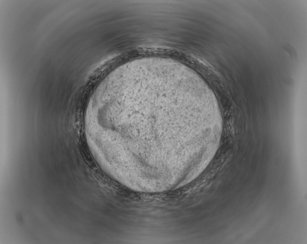 X0000113020870200909241633