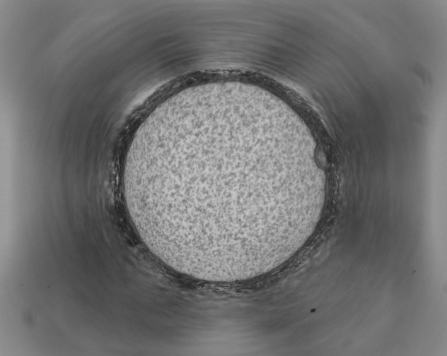 X0000113020871200909241633