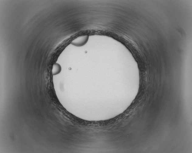 X0000113020872200909241633