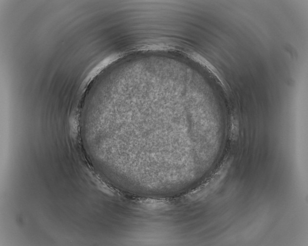 X0000113020874200909241632