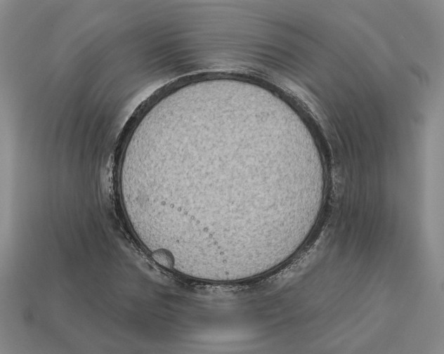 X0000113020875200909241632