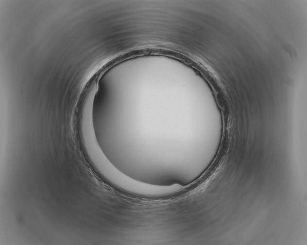 X0000113020877200909241632