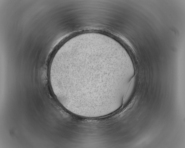 X0000113020878200909241632