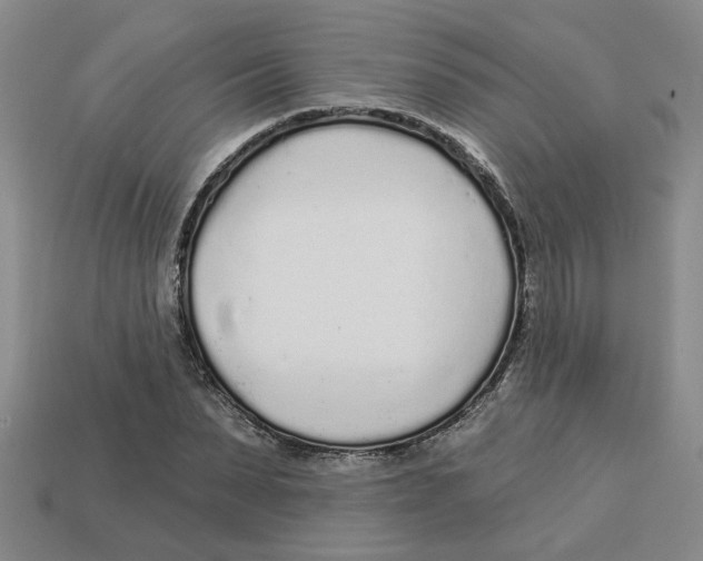 X0000113020879200909241632