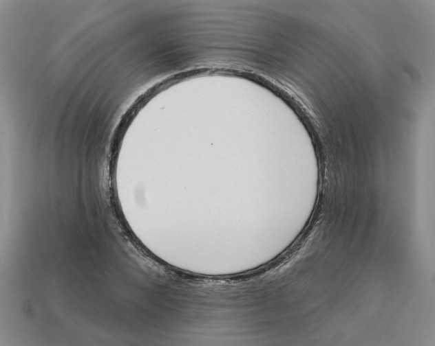 X0000113020880200909241632