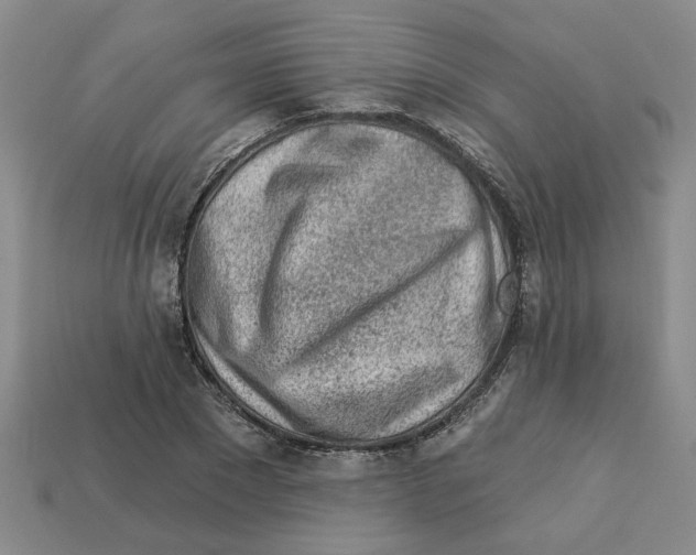 X0000113020881200909241632