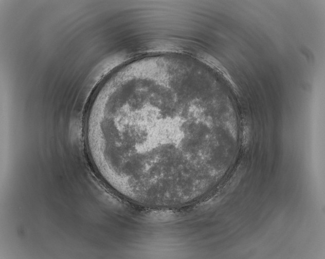 X0000113020882200909241632