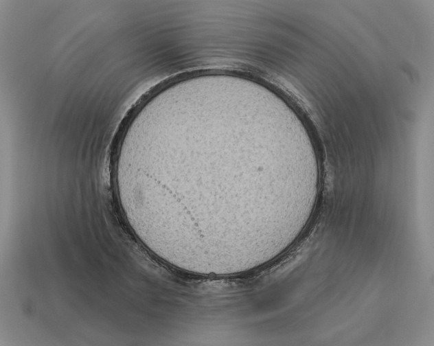 X0000113020883200909241632