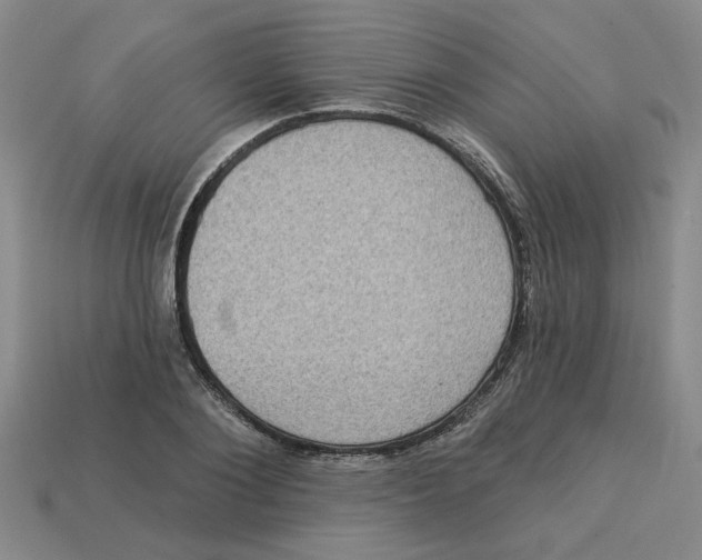 X0000113020884200909241632