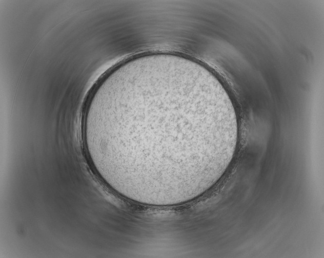 X0000113020886200909241632