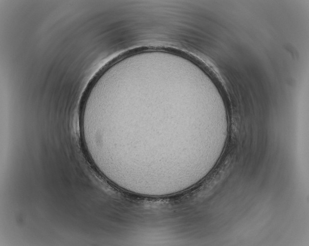 X0000113020887200909241632