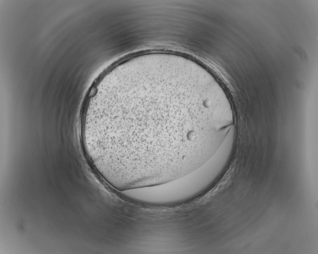 X0000113020888200909241632