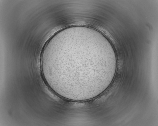 X0000113020890200909241632