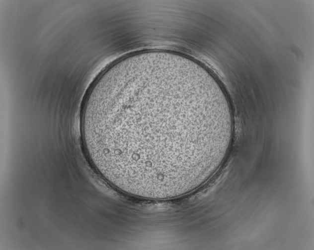 X0000113020891200909241632