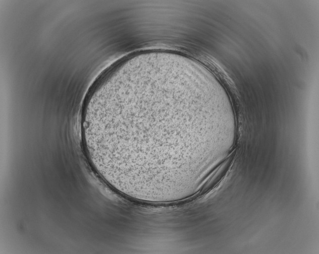 X0000113020892200909241632