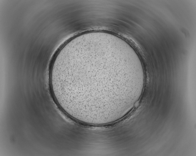 X0000113020894200909241632