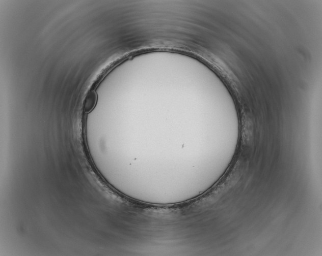 X0000113020896200909241632