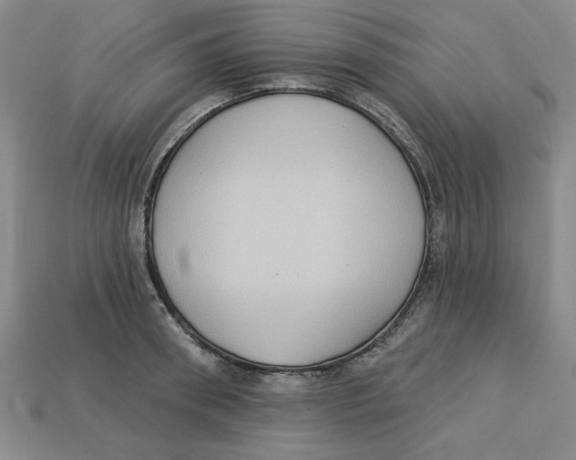 X0000113020898200909241632