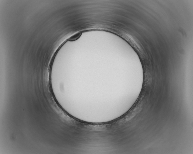 X0000113020900200909241632