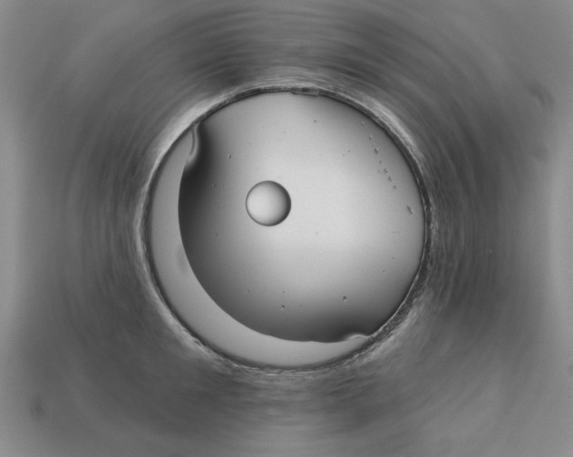 X0000113020901200909241632