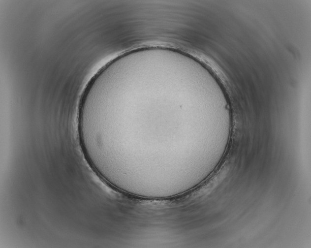 X0000113020902200909241632