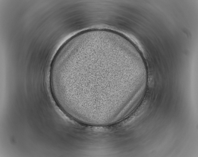 X0000113020903200909241632