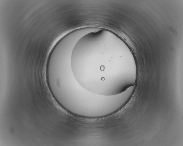 X0000113020904200909241632