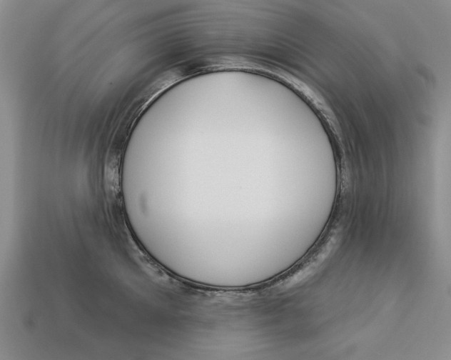 X0000113020905200909241632