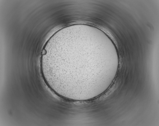 X0000113020906200909241632