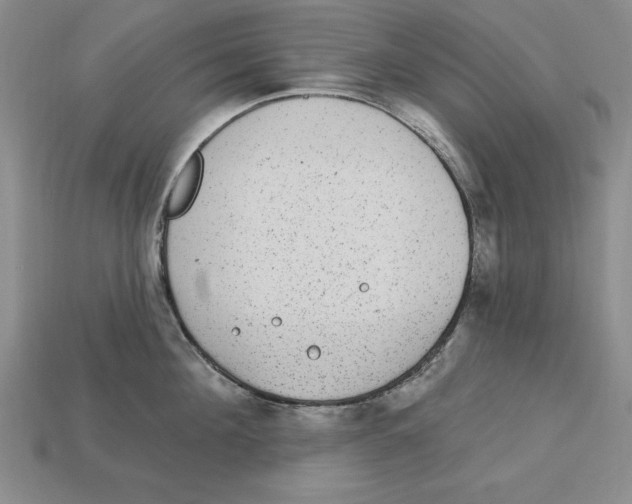 X0000113020908200909241632