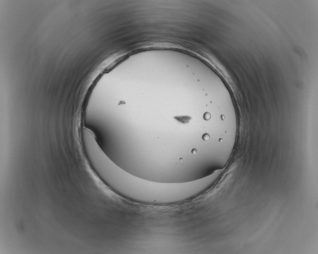 X0000113020909200909241632