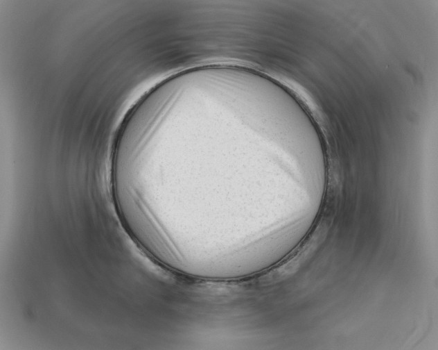 X0000113020910200909241632