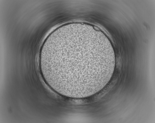 X0000113020911200909241632