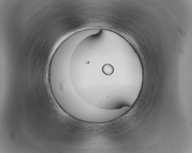 X0000113020912200909241632