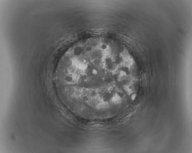 X0000113020913200909241631