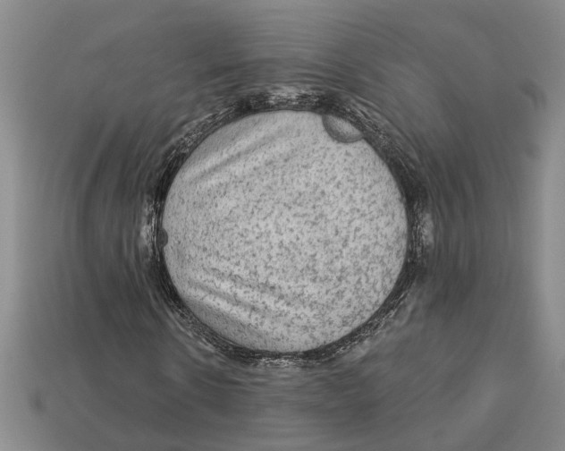 X0000113020914200909241631