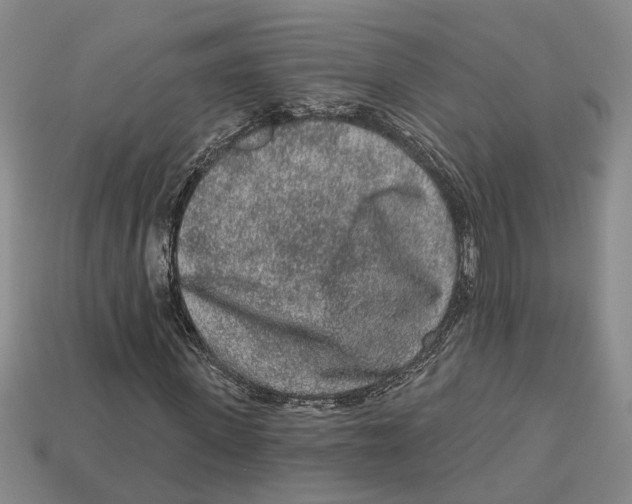 X0000113020915200909241631