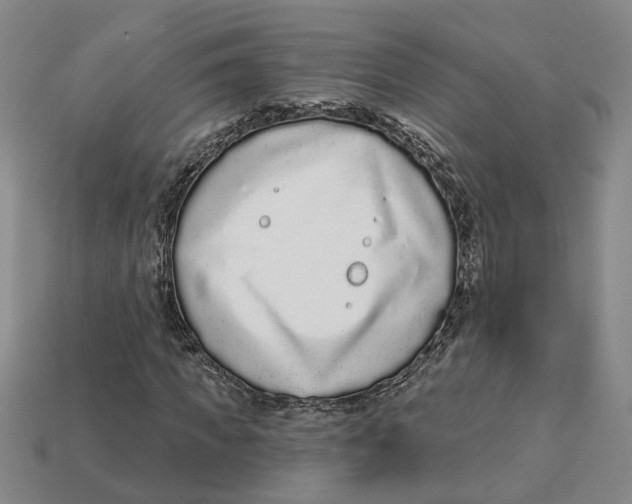 X0000113020917200909241631