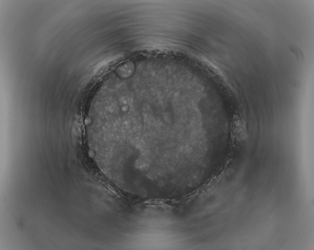 X0000113020918200909241631