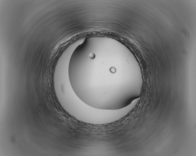 X0000113020920200909241631