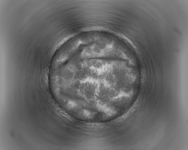 X0000113020921200909241631