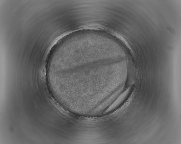 X0000113020923200909241632