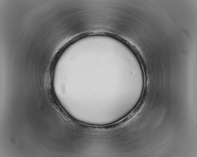 X0000113020925200909241632