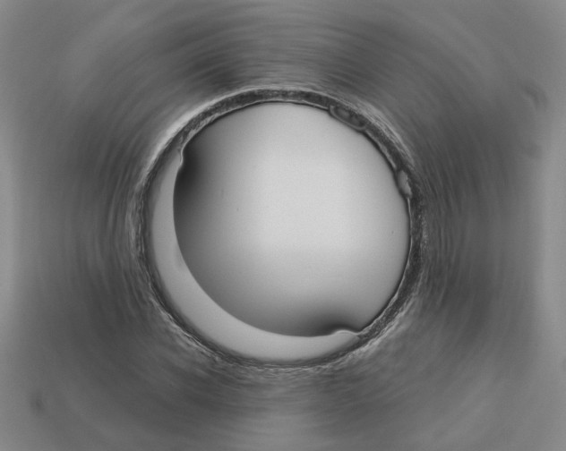 X0000113020926200909241632