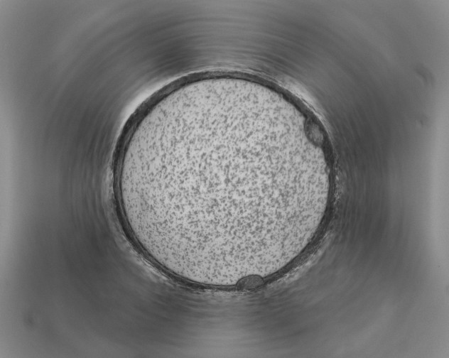 X0000113020928200909241632