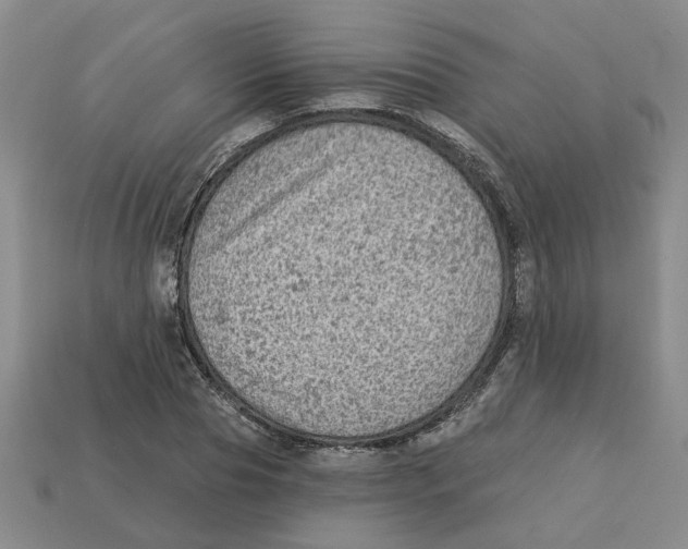 X0000113020929200909241632