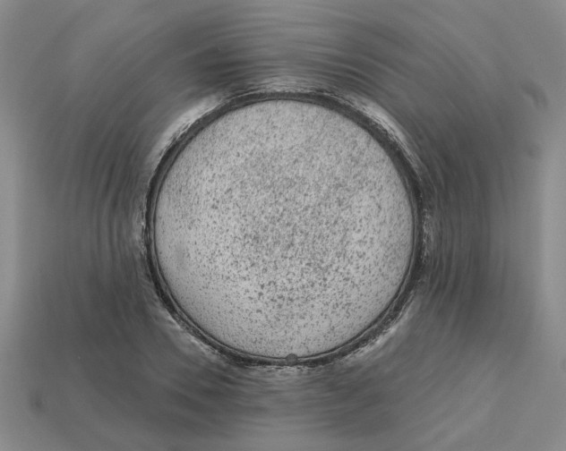 X0000113020930200909241632